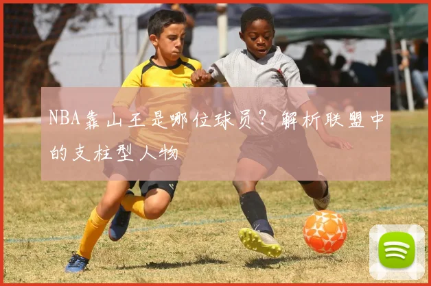NBA靠山王是哪位球员？解析联盟中的支柱型人物