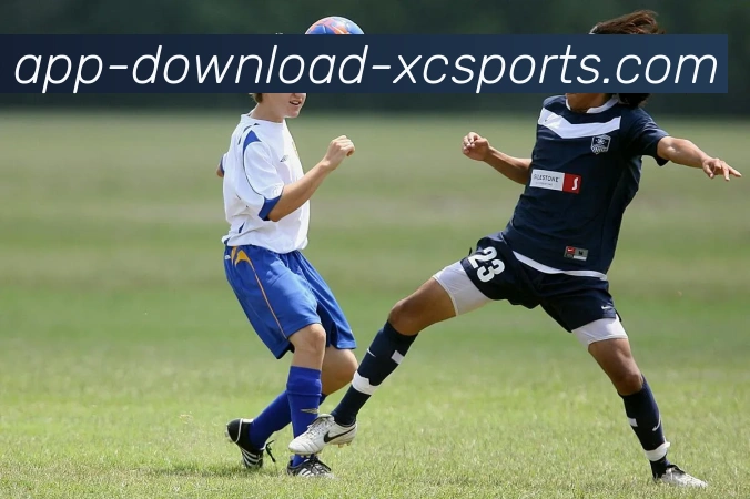 App Interface Preview